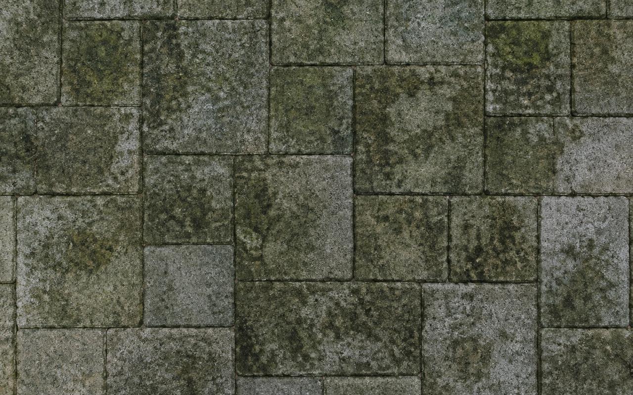 Illustrative dirty, algae-covered stone pavers